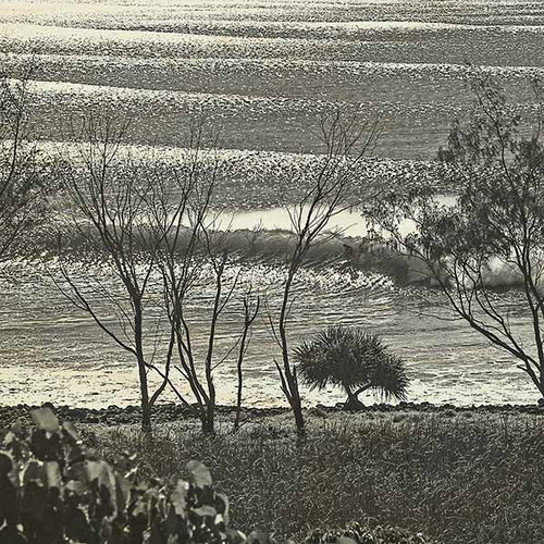 Photo on Timber Lennox Head Surf