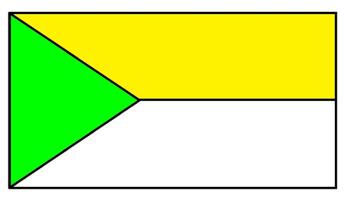 Bandera Institución