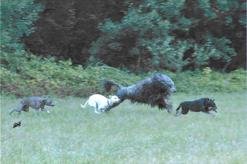 Photo: Photo Roberto