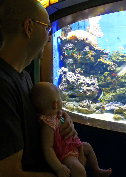 12 Reasons Why Europe Is the Best Place to Travel with Your Kids - Barcelona Aquarium