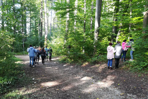 Outdoor Teambuilding Möglichkeiten Salzburg - Hallwang