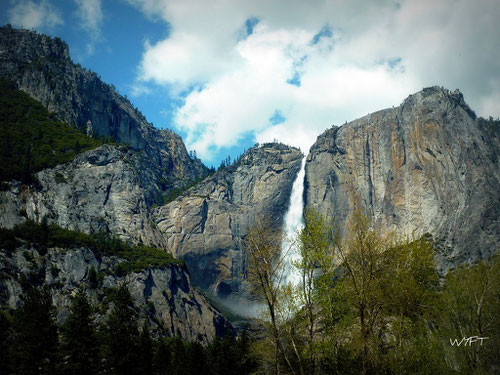 © Winifred. Utterly stunning - Bridalveil Fall at Yosemite National Park. May 2010