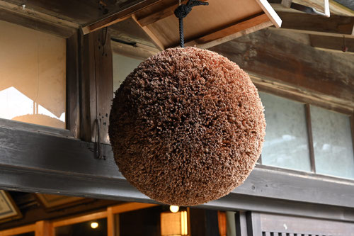 Japanese cedar ball