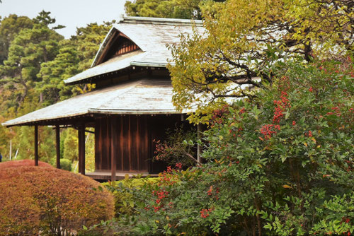 なんてん,ナンテン,南天の木