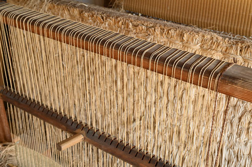 井草,たたみ,いぐさ,イグサ