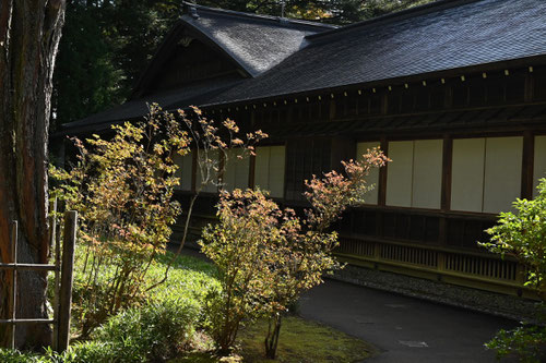 ヤマツツジ,紅葉,やまつつじ