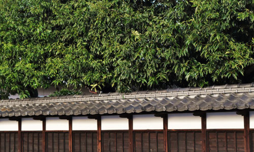 大きな垣根のある風景