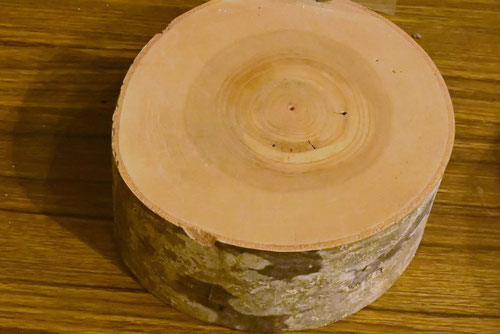 こしあぶら,樹木,コシアブラの木