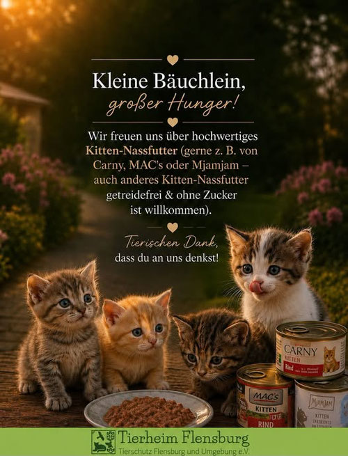 Dringender Bedarf an Kitten-Nassfutter, getreidefrei und ohne Zucker