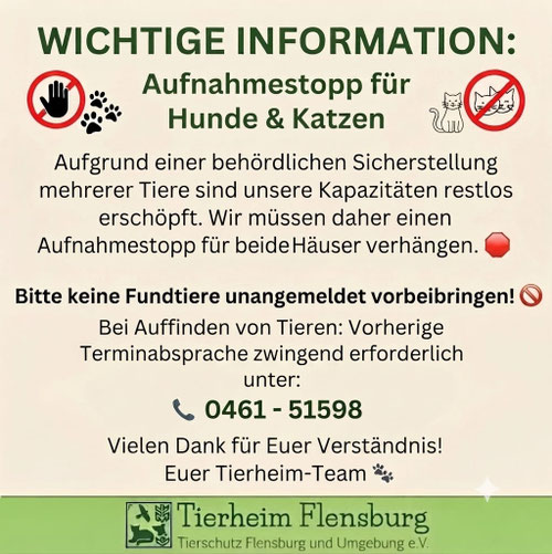 Aktueller Aufnahmestopp für Hunde und Katzen