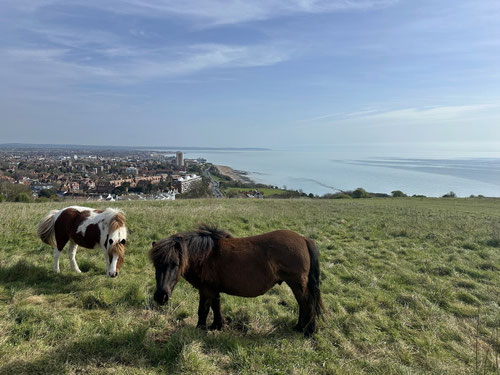 Blick auf Eastbourne