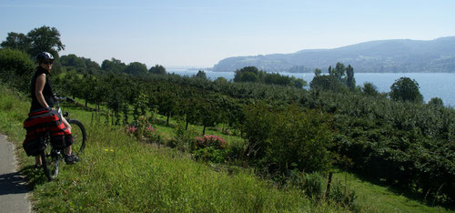 Phantastische Aussicht über Obstplantagen auf den Untersee