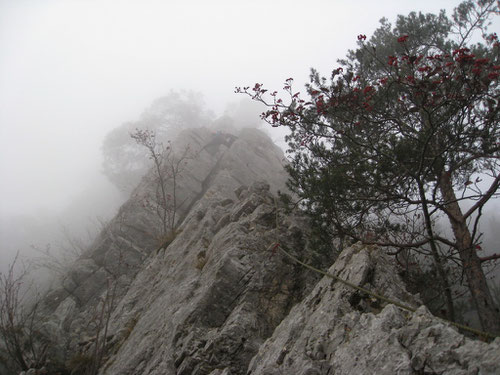 Kletterei in dichtem Nebel: Das alpine Feeling ist perfekt!