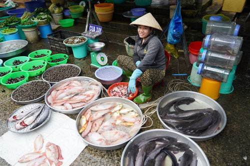 Sprichwörtlich „frischer Fisch“ – hier zappelt noch alles, was verkauft wird.