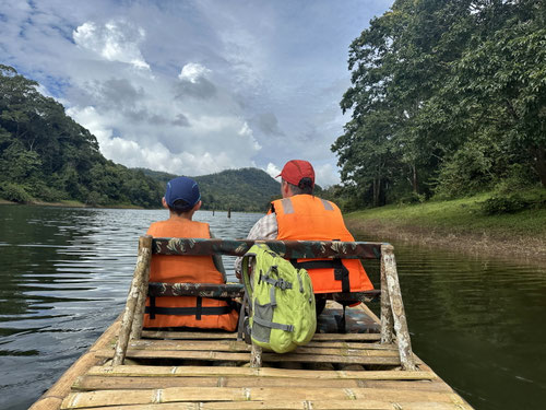 2025/10: Auf dem Periyar-See (Kerala/Indien)