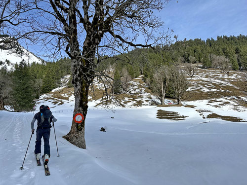 Für den Zustieg zur Brochhütte auf den Skiern hatte es gerade noch genügend Schnee.