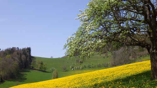 Unterhalb des Allerheiligenbergs mit Blick auf das Stiron