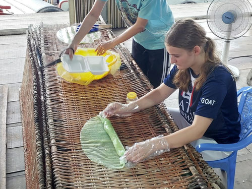Unsere selbst gemachten Reisblätter konnten wir gleich für die Zubereitung von Frühlingsrollen verwenden.