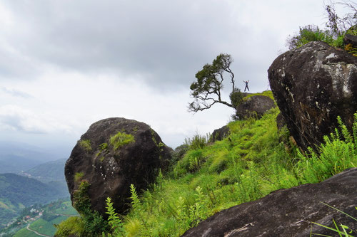 2025/09: Unterwegs auf den Hügel von Munnar (Munnar/Kreala/Indien)