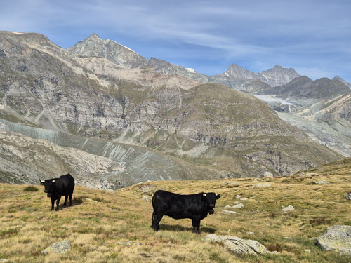 2024/08: Ofental (CH/VS)