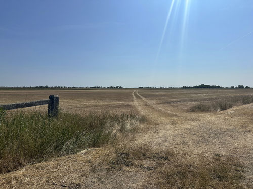 2025/06: Hortobágyi-Nationalpark (HUN)