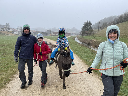 Unterwegs mit Esel Luna und Pony Sangria