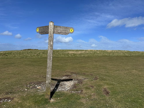 Auf dem South Downs Way