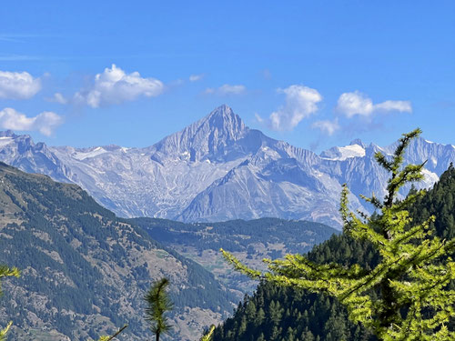 Herrlicher Blick auf das Bishorn.