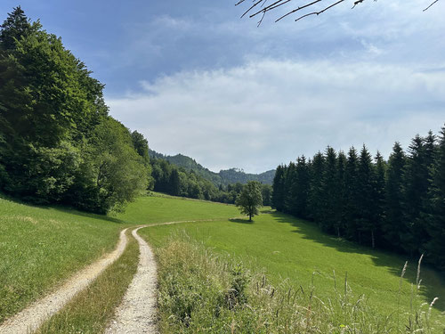 Toller Wegabschnitt zwischen Breitnau und Reichraming.