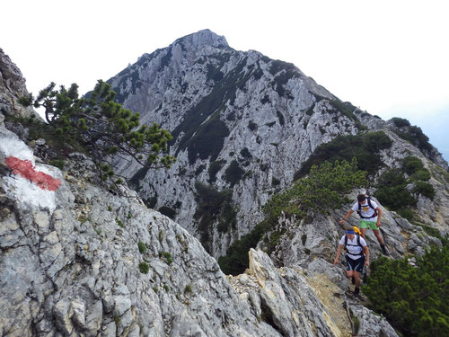 Aufstieg zum Zwiesel. Im Hintergrund der Hochstaufen (1771m).