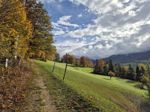 Unterhalb des Forêt du Droit. Wir marschieren ostwärts in Richtung Belprahon.