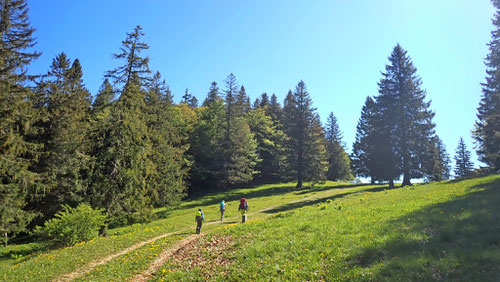 Vom Parkplatz (1'320m) führt der Weg durch die herrliche Jura-Landschaft bis zum Kletterspot.