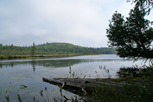 Einzer der zahlreichen Seen auf dem Mizzy Lake Trail