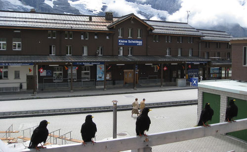 Bahnhof bei der kleinen Scheidegg (2061m)