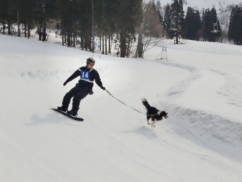参考:http://www.yuzawa-nakazato.com/