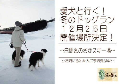 参考:http://lovesesame.exblog.jp