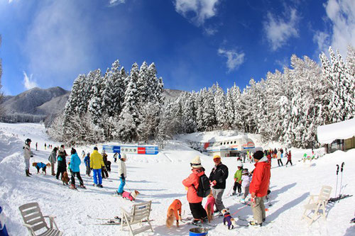 参考:http://marumaruphoto.blog.fc2.com