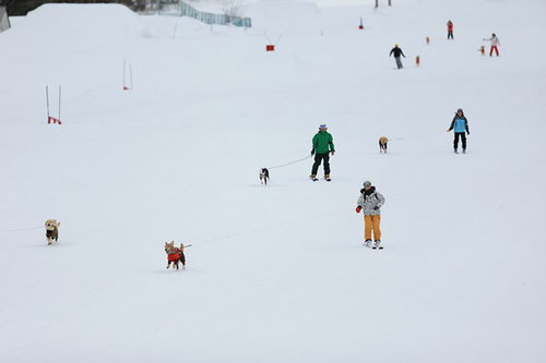 参考:http://marumaruphoto.blog.fc2.com/blog-entry-1443.html