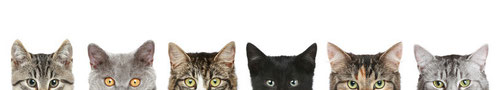 Bildquelle: (c) jagodka, fotolia.com