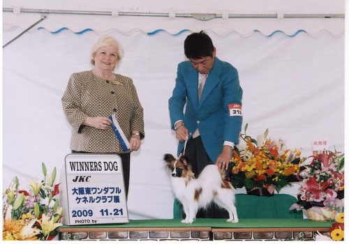 エターナル　エンブレム　パピヨン　大輔