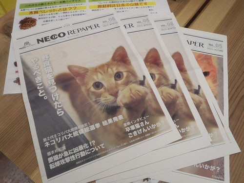NECO REPAPER 2015.WINTER