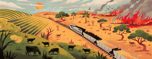 En Mato Grosso el trazado previsto para la línea ferroviaria podría afectar a importantes cuencas fluviales y provocar una mayor deforestación .Ilustración: Rafael Nobre / Dialogue Earth