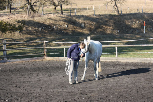 Silvi und Nimue