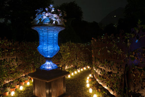 Photographie Alexandre Petzold