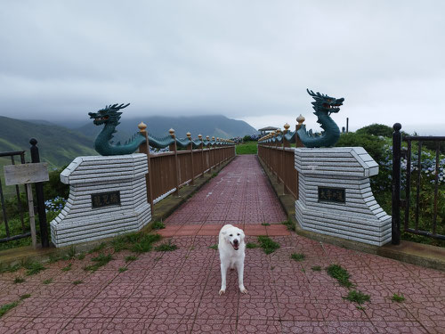 青森県つがる市,今別町,五所川原市,青森市,浅虫,スピリチュアル,霊視