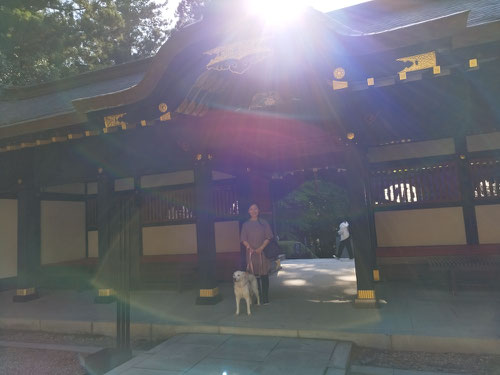 宮城県,仙台市青葉区,伊達政宗,瑞宝殿,犬連れ旅行,スピリチュアル
