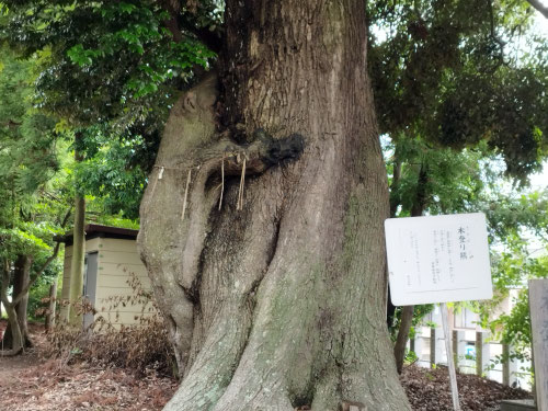 栃木スピリチュアル,福島スピリチュアルヒーラー,岩手霊視カウンセリング,盛岡霊視カウンセラー