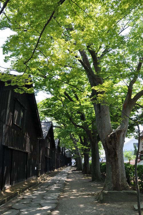 @ 山居倉庫 in 山形県酒田市