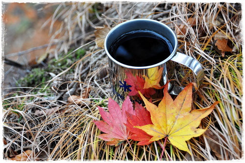 もう少しで販売終了の「紅葉ブレンド」