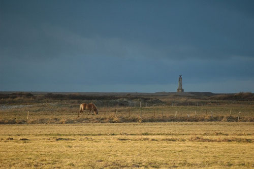 à la découverte de la réserve naturelle du hâble d'Ault